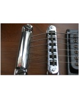 GIBSON Firebrand The SG Walnut 1979