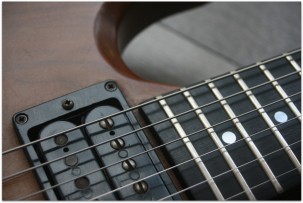 GIBSON Firebrand The SG Walnut 1979