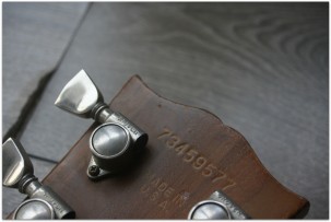 GIBSON Firebrand The SG Walnut 1979