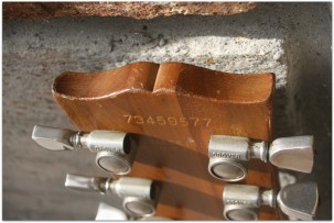 GIBSON Firebrand The SG Walnut 1979