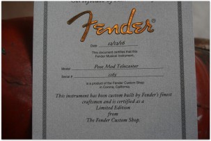 FENDER Postmodern Telecaster 1987 - 2017 Frost Gold
