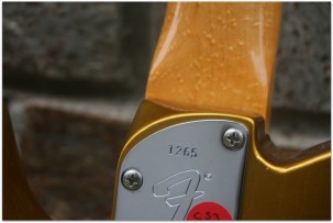 FENDER Postmodern Telecaster 1987 - 2017 Frost Gold