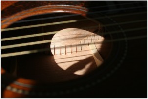 FENDER PM-2 E Limited All Mahiogany