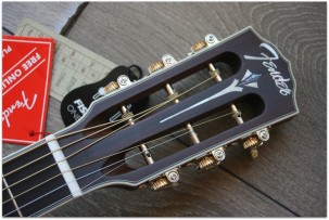 FENDER PM-2 E Limited All Mahiogany