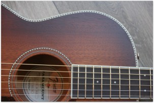 FENDER PM-2 E Limited All Mahiogany