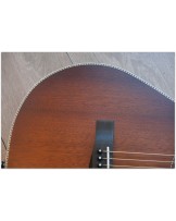 FENDER PM-2 E Limited All Mahiogany