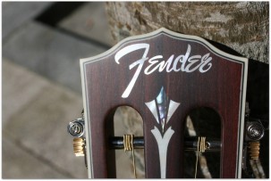 FENDER PM-2 E Limited All Mahiogany