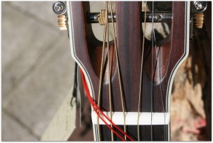 FENDER PM-2 E Limited All Mahiogany