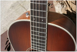 FENDER PM-2 E Limited All Mahiogany
