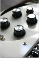 RICKENBACKER 330 Black Year 2011