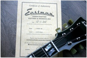 EASTMAN T486B Sunburst