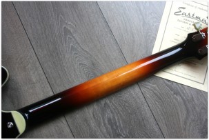 EASTMAN T486B Sunburst