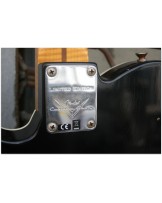 FENDER Limited Double Esquire Special Journeyman Relic Aged Silver Sparkle