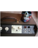 MAGNATONE "Troubadour Model 213 original of year 1956, all original"