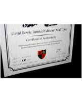 SUPRO "David Bowie Dual Tone LIMITED, Number 231 de 432 Made Worldwide"