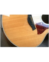 TAYLOR "615ce" Before Andy Powers Era