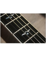 TAYLOR "615ce" Before Andy Powers Era