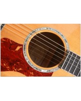 TAYLOR "615ce" Before Andy Powers Era