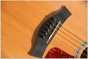 TAYLOR "615ce" Before Andy Powers Era