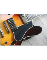 EASTMAN "T486 Sunburst" HARDCASE