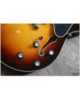 EASTMAN "T486 Sunburst" HARDCASE