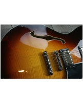 EASTMAN "T486 Sunburst" HARDCASE