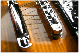 EASTMAN "T486 Sunburst" HARDCASE