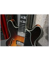 EASTMAN "T486 Sunburst" HARDCASE