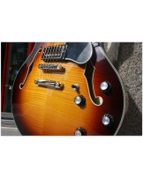 EASTMAN "T486 Sunburst" HARDCASE