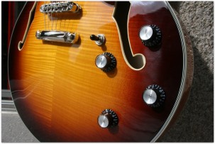 EASTMAN "T486 Sunburst" HARDCASE