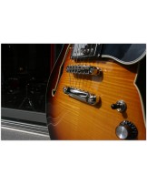 EASTMAN "T486 Sunburst" HARDCASE