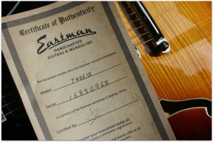 EASTMAN "T486 Sunburst" HARDCASE