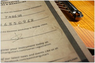 EASTMAN "T486 Sunburst" HARDCASE