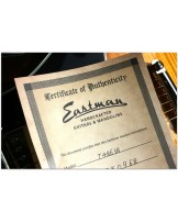 EASTMAN "T486 Sunburst" HARDCASE