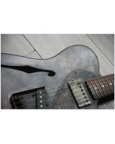 JAMES TRUSSART "Deluxe Steelcaster Rust O Matic" SECOND HAND