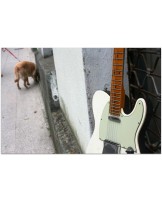 FENDER "Custom Shop Postmodern Telecaster 2019 Journeyman Relic Aged Olympic White and Charcoal Frost Metallic"
