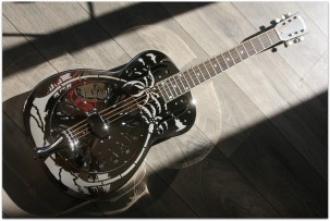 NATIONAL "Stylo 0 14 Fret Chrome"