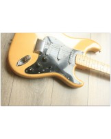 FENDER "Original 1979 Stratocaster Cream with original Hardcase"