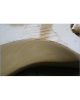 FENDER "Original 1979 Stratocaster Cream with original Hardcase"