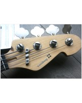 SANDBERG "Forty Eight 4-strings Gold Aged" GIG BAG