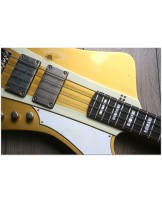 SANDBERG "Forty Eight 4-strings Gold Aged" GIG BAG