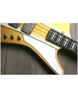 SANDBERG "Forty Eight 4-strings Gold Aged" GIG BAG