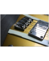 SANDBERG "Forty Eight 4-strings Gold Aged" GIG BAG