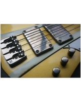 SANDBERG "Forty Eight 4-strings Gold Aged" GIG BAG