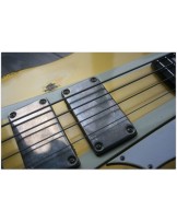 SANDBERG "Forty Eight 4-strings Gold Aged" GIG BAG