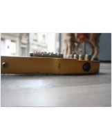 SANDBERG "Forty Eight 4-strings Gold Aged" GIG BAG