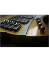 SANDBERG "Forty Eight 4-strings Gold Aged" GIG BAG