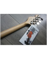 SANDBERG "Forty Eight 4-strings Gold Aged" GIG BAG