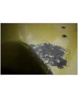 SANDBERG "Forty Eight 4-strings Gold Aged" GIG BAG