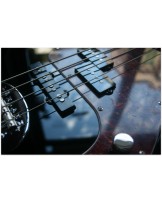 LAKLAND "44-64 Skyline Custom PJ Vintage Black "
